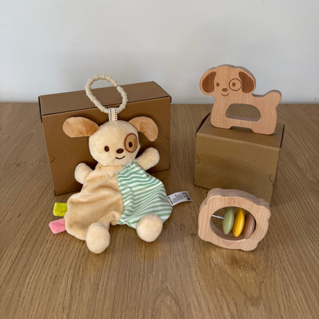Montessori lesene didaktične igrače za dojenčke 6 mesecev – razvojni paket